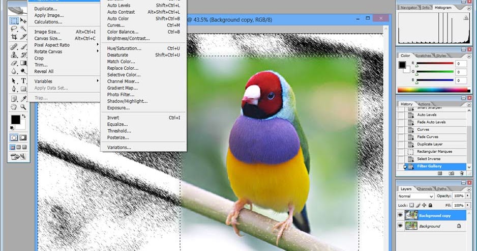 adobe photoshop portable highly compressed